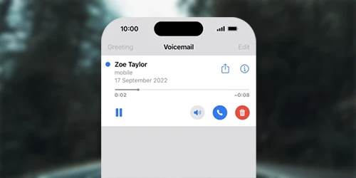 Phone Ststem Feature